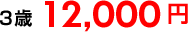 3歳:12,000円 3歳:12,000円