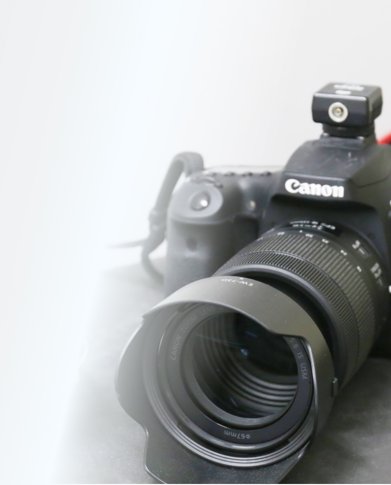 お知らせ＆キャンペーン